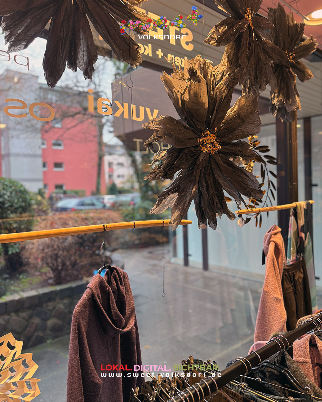 Sternanis Volksdorf Annette Görtz OSKA