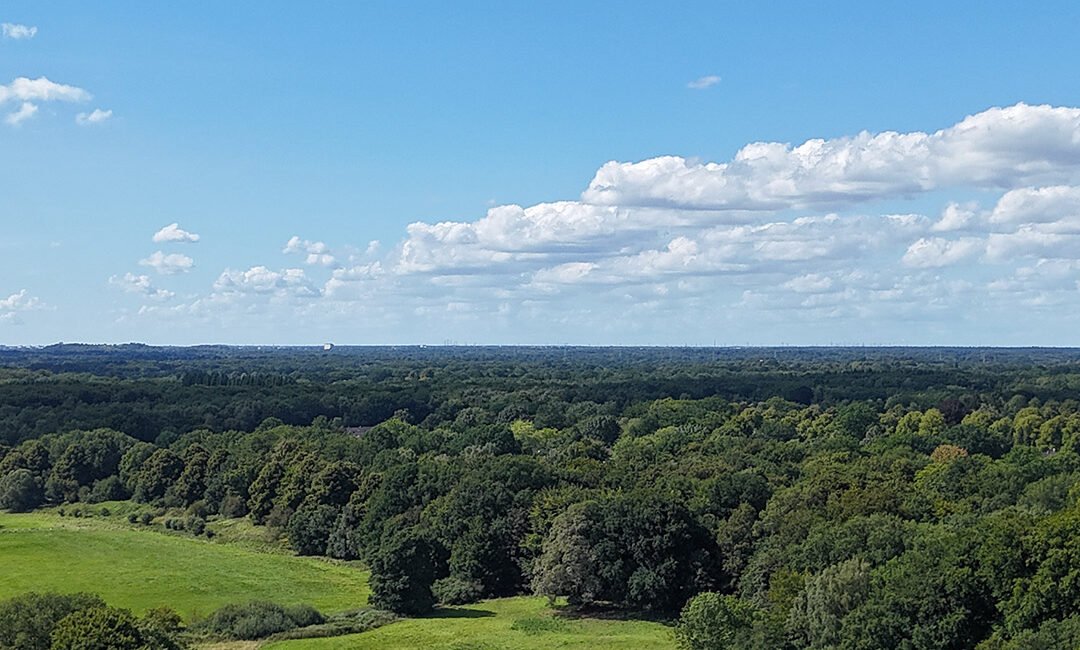 Teichwiesen Volksdorf