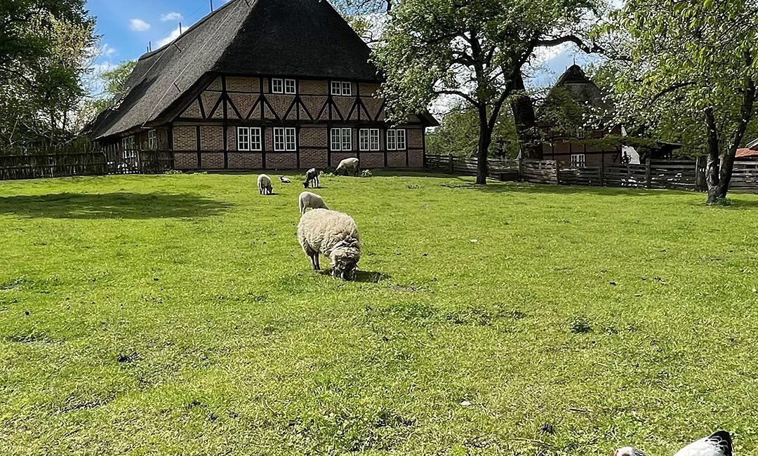 Museumsdorf Volksdorf