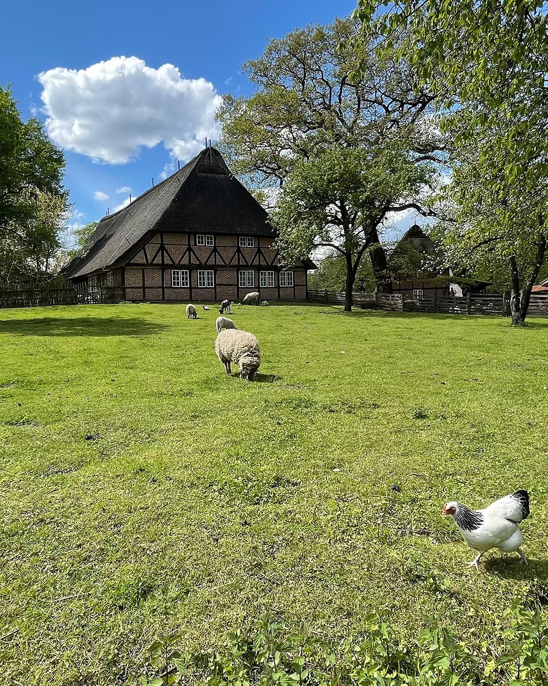 Museumsdorf Volksdorf