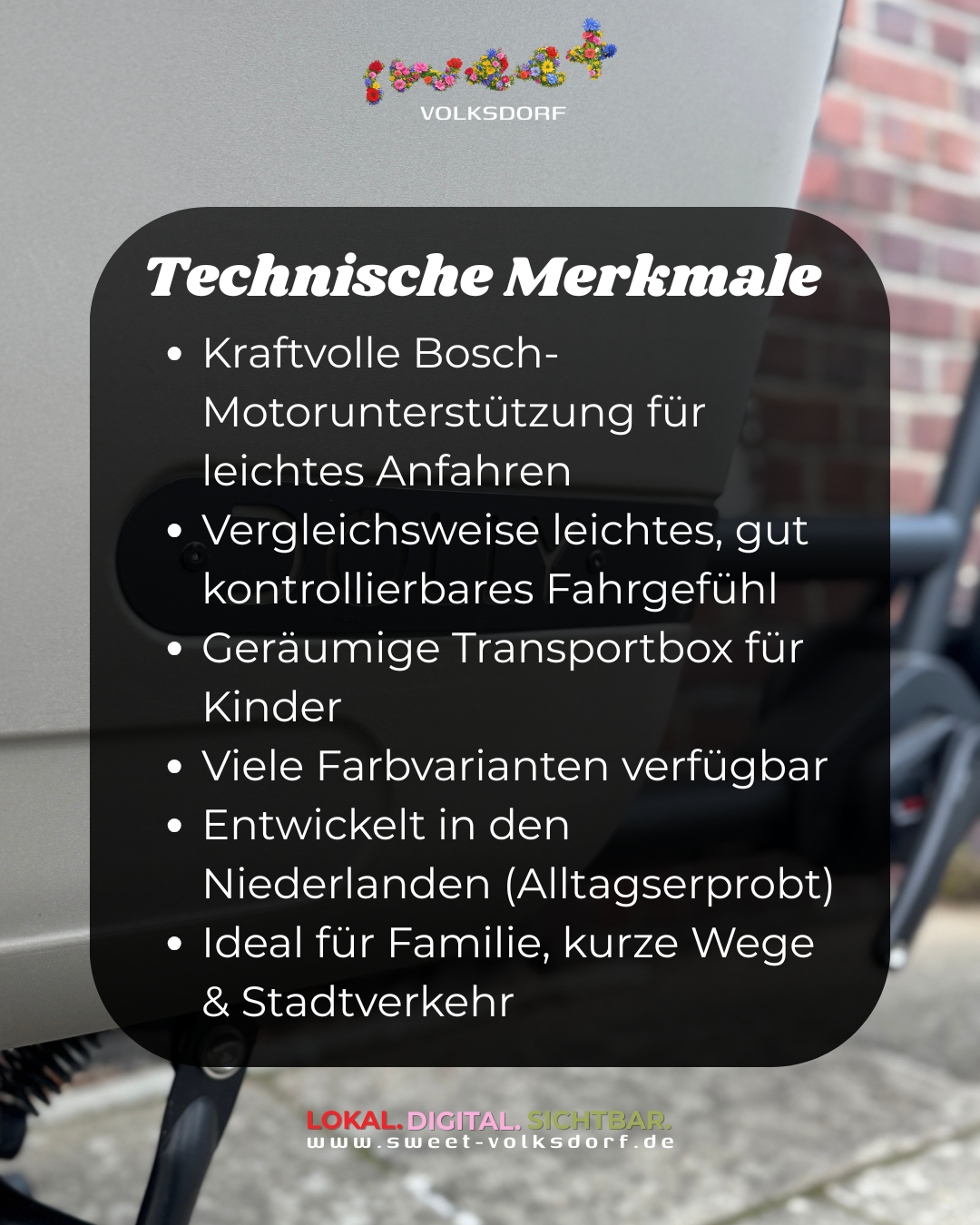 Technische Merkmale Dolly Lastenrad