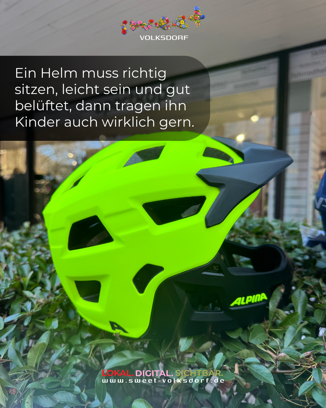 Alpina Fullface-Helm