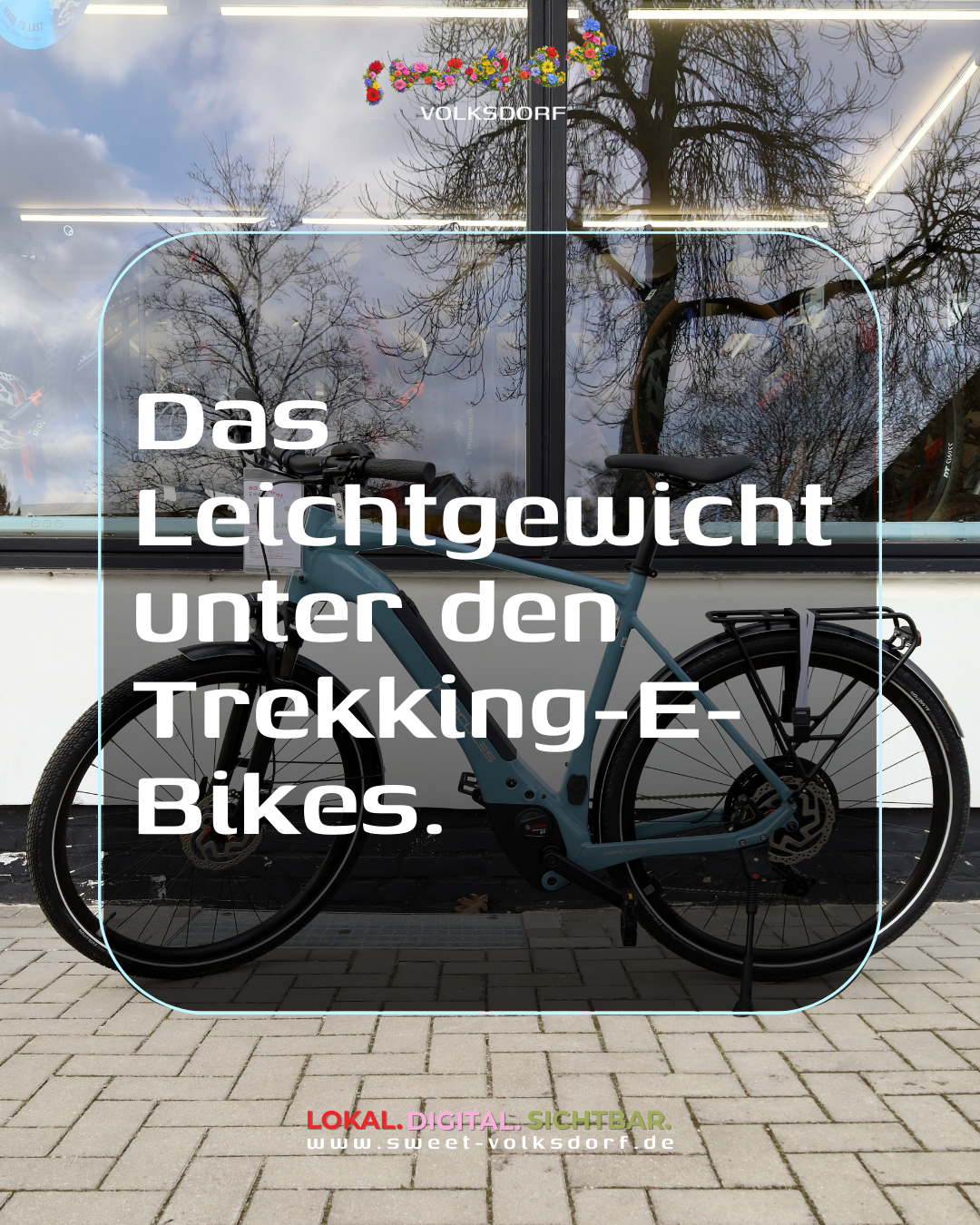 EHRIG E-Bike-Store Volksdorf