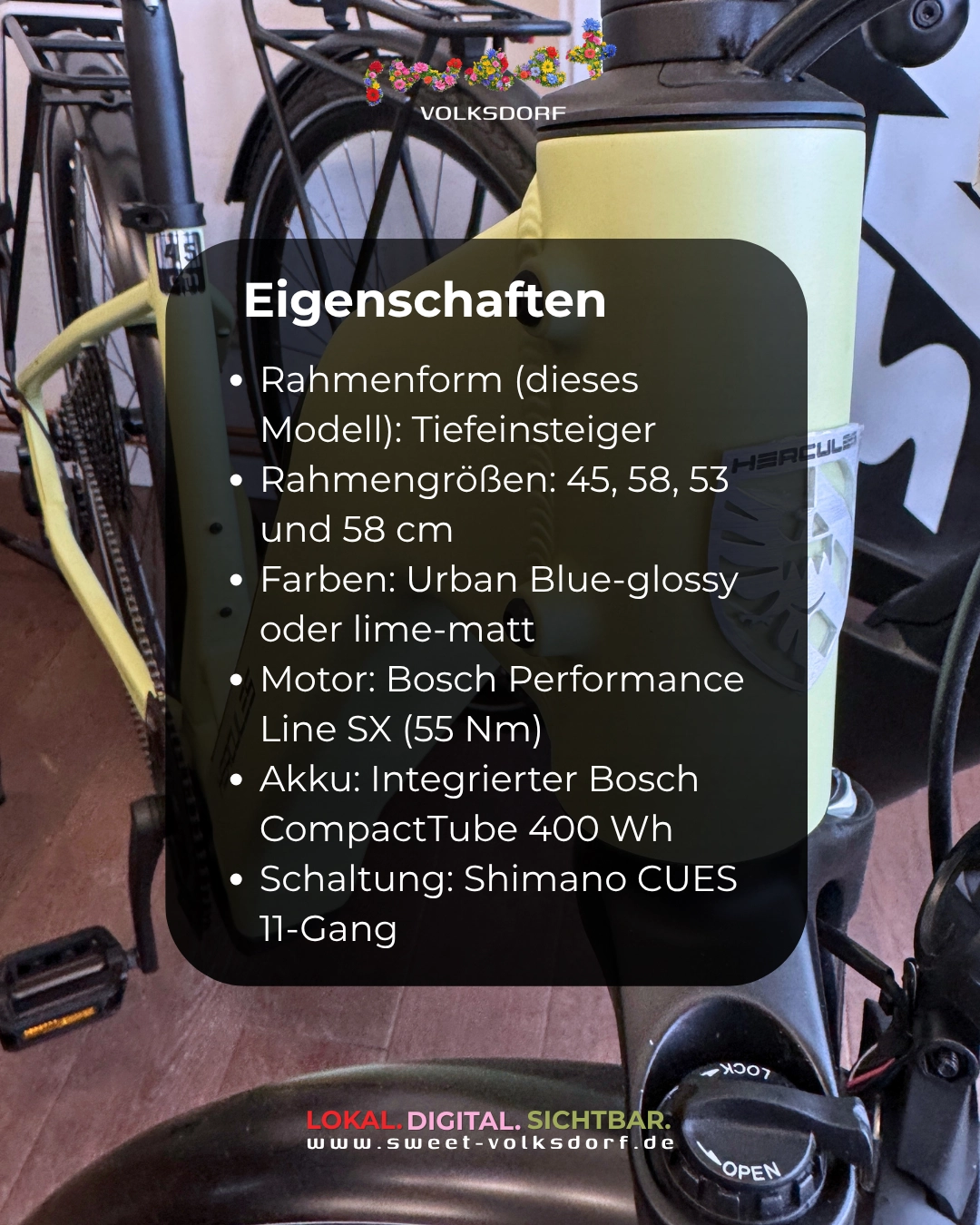 Hercules Futura SL-i11 Zweiradhaus Ehrig