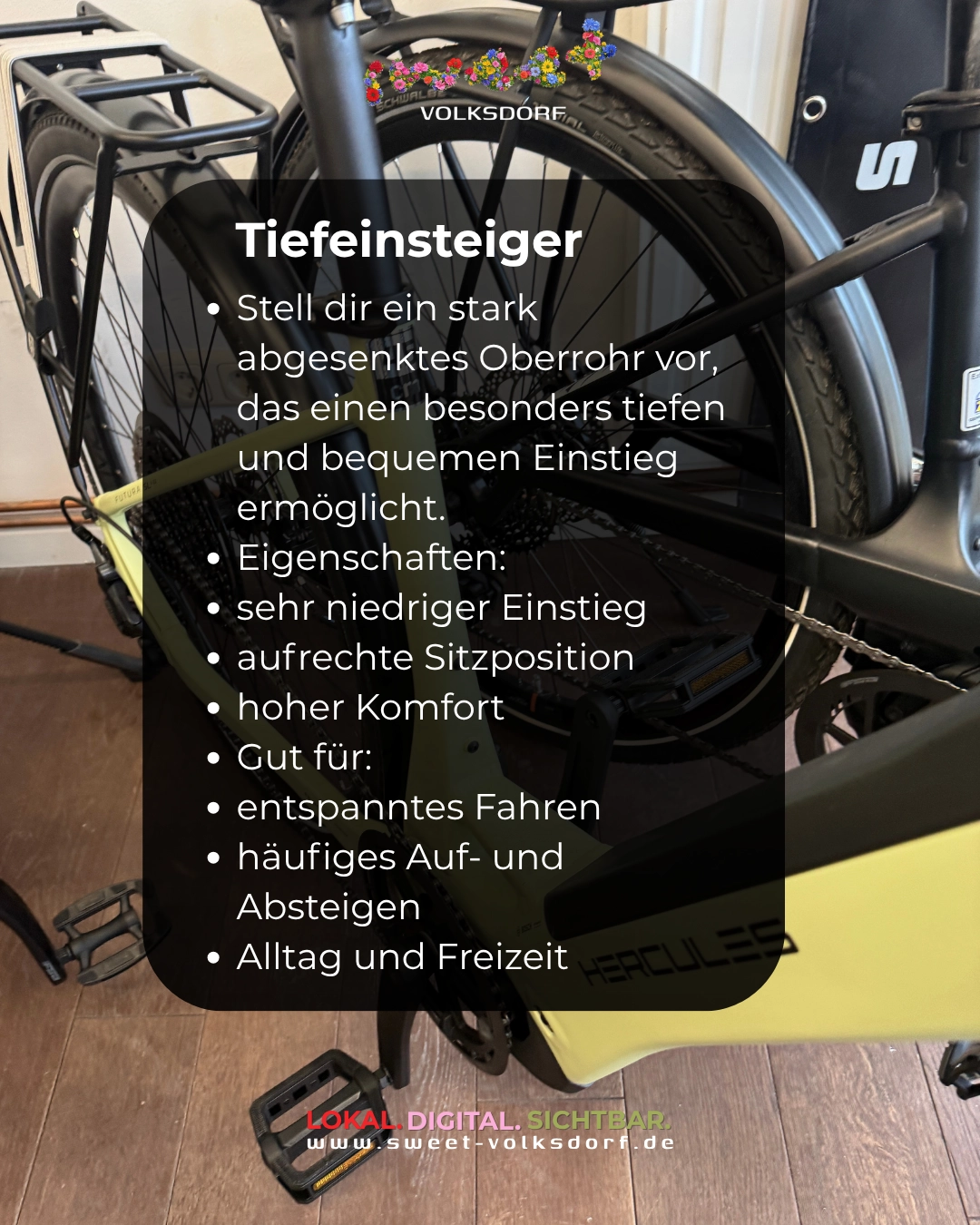 Hercules Futura SL-i11 Tiefeinsteiger Zweiradhaus Ehrig