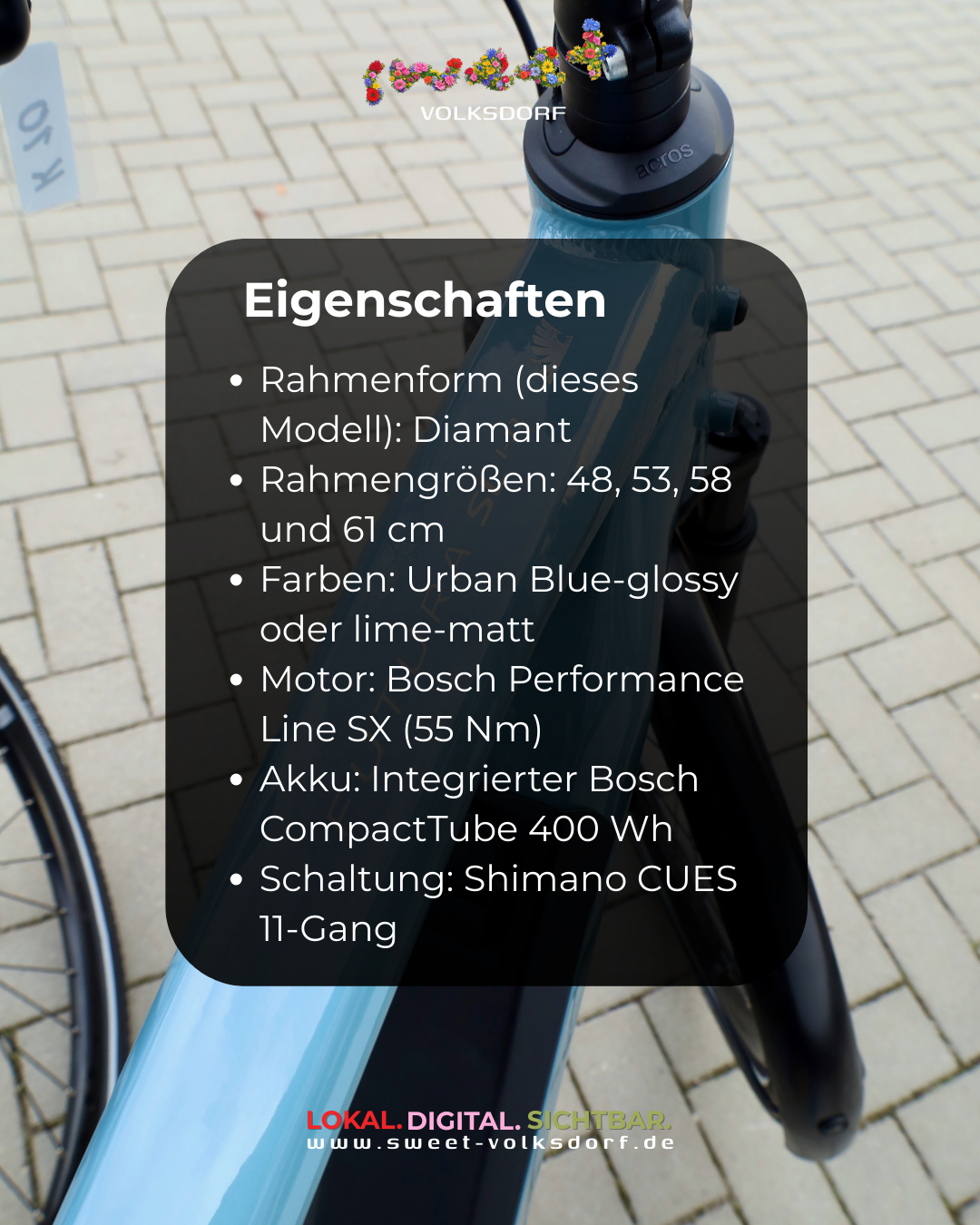 Eigenschaften Hercules Futura SL I-11