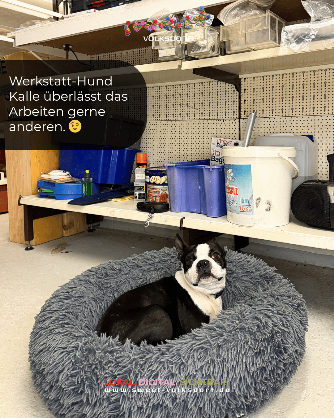 Hoffmeister Sicherheitstechnik 22359