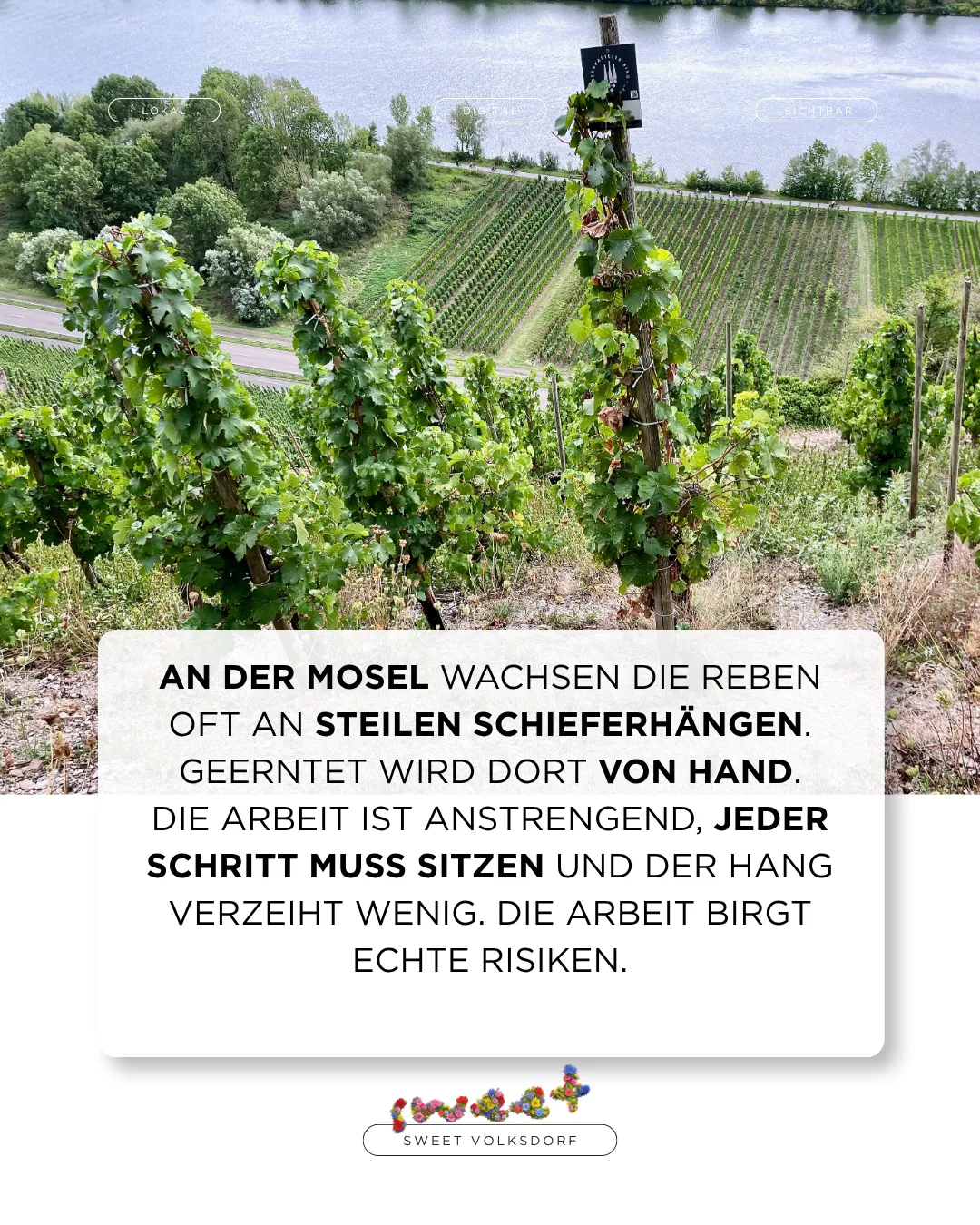 Weinberg Zell-Merl