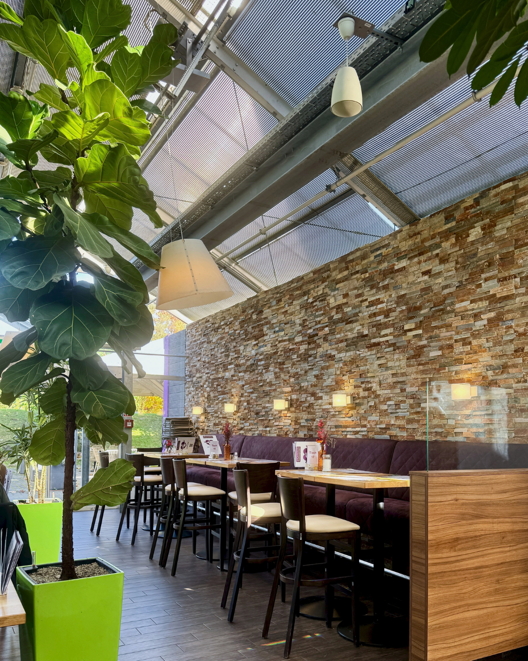 Bambusgartencafé Bambusgarten Pflanzen Kölle Volksdorf