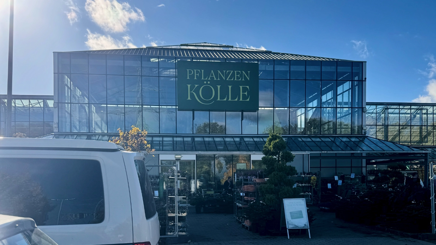 pflanzen Kölle Bambusgarten Cafe Volksdorf